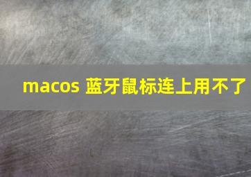 macos 蓝牙鼠标连上用不了